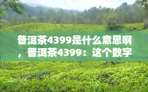 普洱茶4399是什么意思啊，普洱茶4399：这个数字背后隐藏的含义是什么？