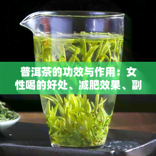 普洱茶的功效与作用：女性喝的好处、减肥效果、副作用与禁忌，以及保质期介绍