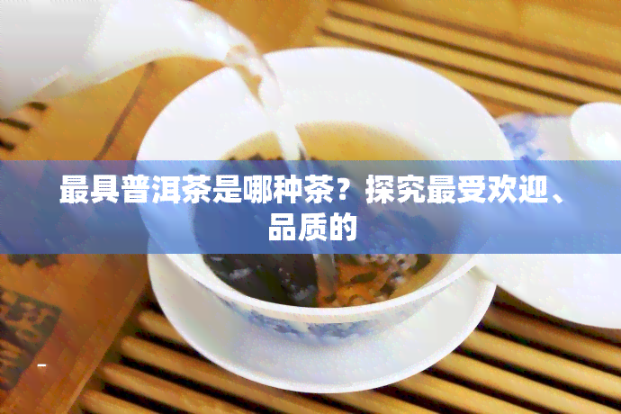 更具普洱茶是哪种茶？探究更受欢迎、品质的