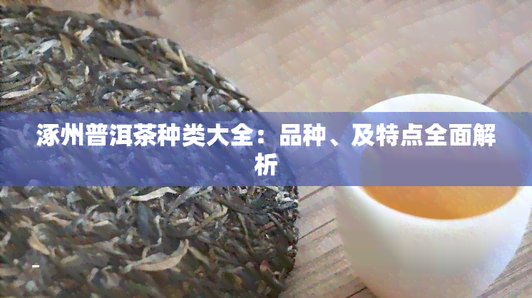 涿州普洱茶种类大全：品种、及特点全面解析