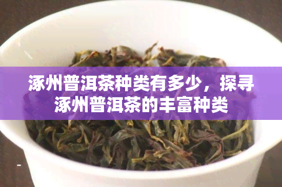 涿州普洱茶种类有多少，探寻涿州普洱茶的丰富种类