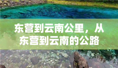 东营到云南公里，从东营到云南的公路里程是多少？