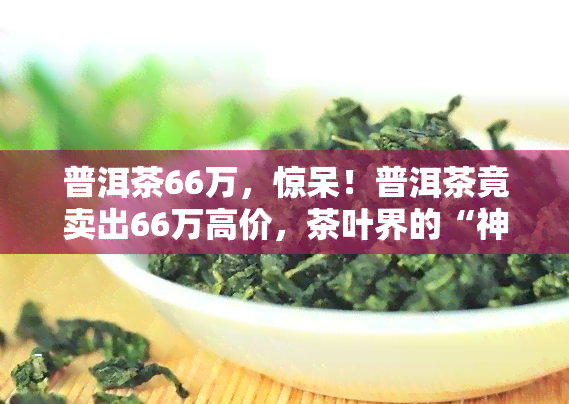 普洱茶66万，惊呆！普洱茶竟卖出66万高价，茶叶界的“神话”诞生！