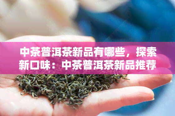 中茶普洱茶新品有哪些，探索新口味：中茶普洱茶新品推荐