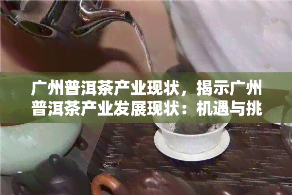 广州普洱茶产业现状，揭示广州普洱茶产业发展现状：机遇与挑战并存