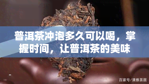 普洱茶冲泡多久可以喝，掌握时间，让普洱茶的美味尽情释放——普洱茶冲泡多久可以喝？