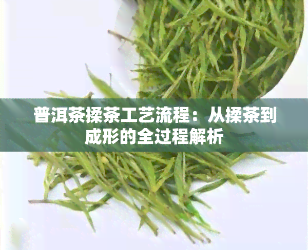 普洱茶揉茶工艺流程：从揉茶到成形的全过程解析