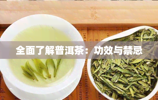 全面了解普洱茶：功效与禁忌