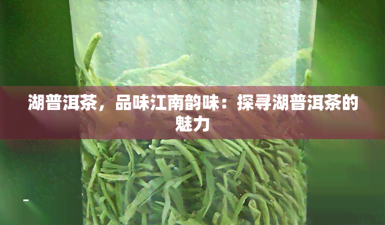 湖普洱茶，品味江南韵味：探寻湖普洱茶的魅力