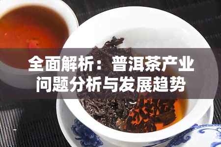 全面解析：普洱茶产业问题分析与发展趋势