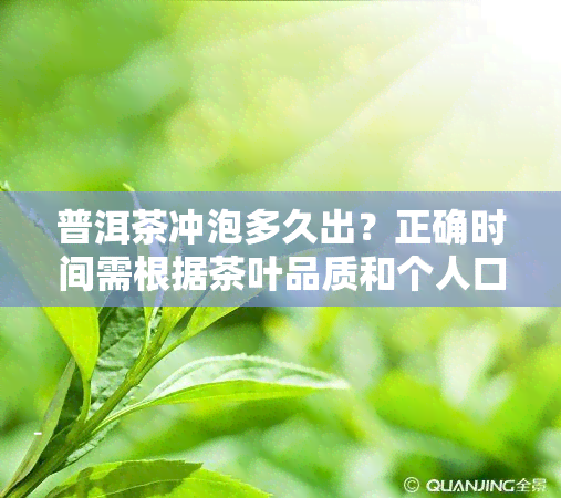 普洱茶冲泡多久出？正确时间需根据茶叶品质和个人口味调整，一般建议3-10分。