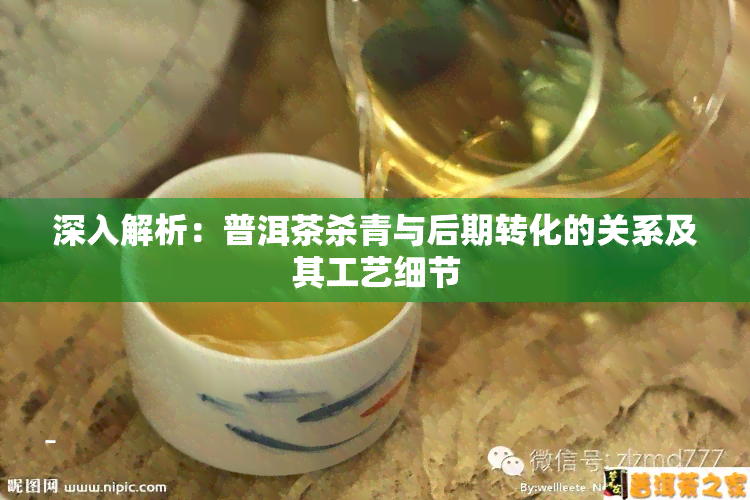 深入解析：普洱茶杀青与后期转化的关系及其工艺细节