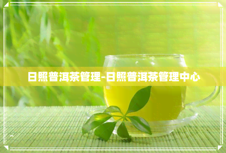 日照普洱茶管理-日照普洱茶管理中心