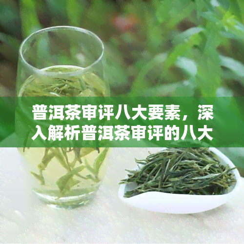 普洱茶审评八大要素，深入解析普洱茶审评的八大要素