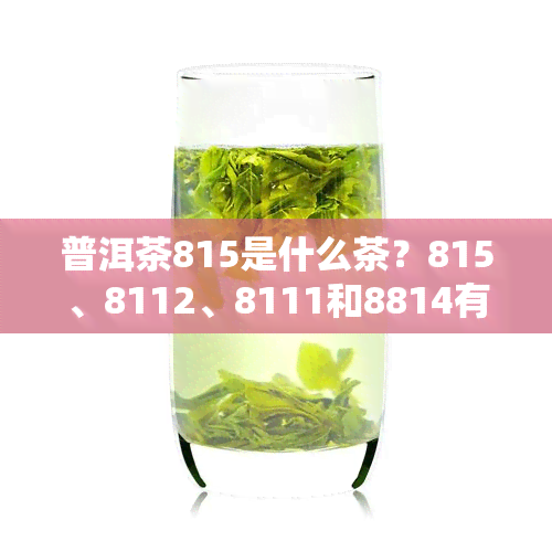 普洱茶815是什么茶？815、8112、8111和8814有何区别及价格解析