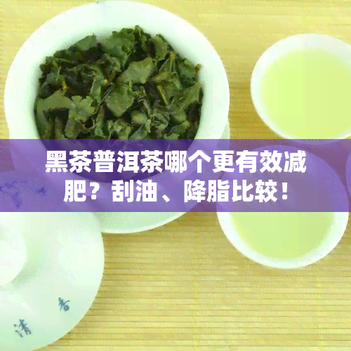 黑茶普洱茶哪个更有效减肥？刮油、降脂比较！