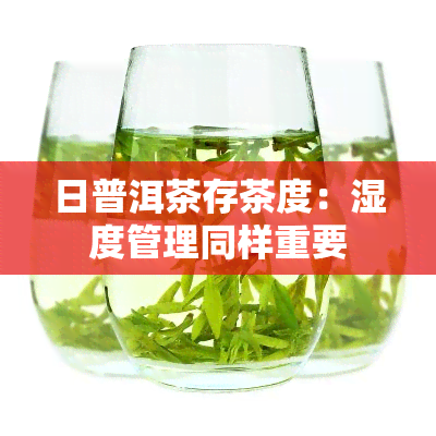 日普洱茶存茶度：湿度管理同样重要