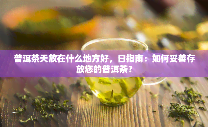 普洱茶天放在什么地方好，日指南：如何妥善存放您的普洱茶？