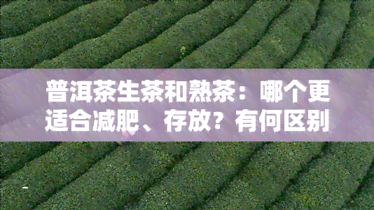 普洱茶生茶和熟茶：哪个更适合减肥、存放？有何区别？价格如何比较？如何区分两者优劣？