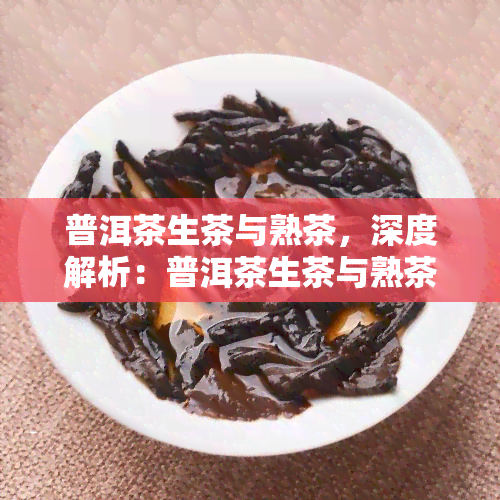 普洱茶生茶与熟茶，深度解析：普洱茶生茶与熟茶的差异与特点