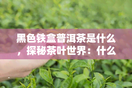 黑色铁盒普洱茶是什么，探秘茶叶世界：什么是黑色铁盒普洱茶？