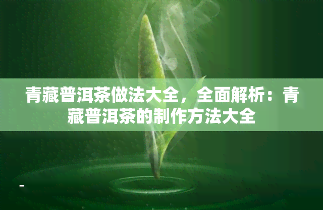 青藏普洱茶做法大全，全面解析：青藏普洱茶的制作方法大全