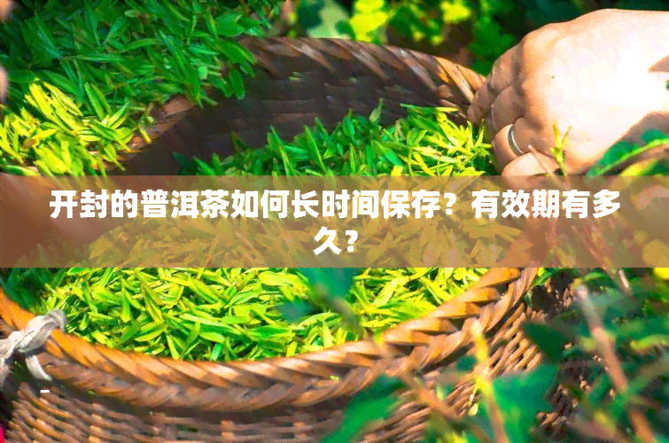 开封的普洱茶如何长时间保存？有效期有多久？