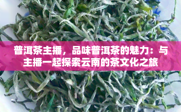 普洱茶主播，品味普洱茶的魅力：与主播一起探索云南的茶文化之旅