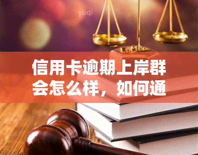 信用卡逾期上岸群会怎么样，如何通过信用卡逾期上岸群实现财务自由？