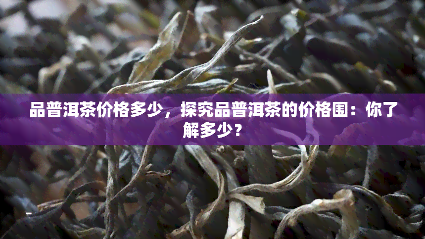 品普洱茶价格多少，探究品普洱茶的价格围：你了解多少？