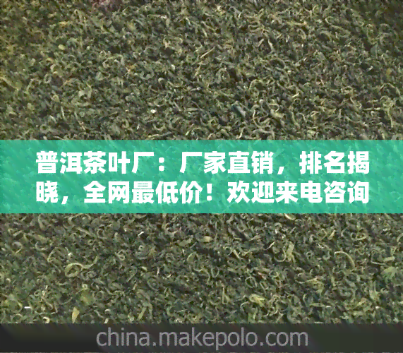 普洱茶叶厂：厂家直销，排名揭晓，全网更低价！欢迎来电咨询，地址就在……