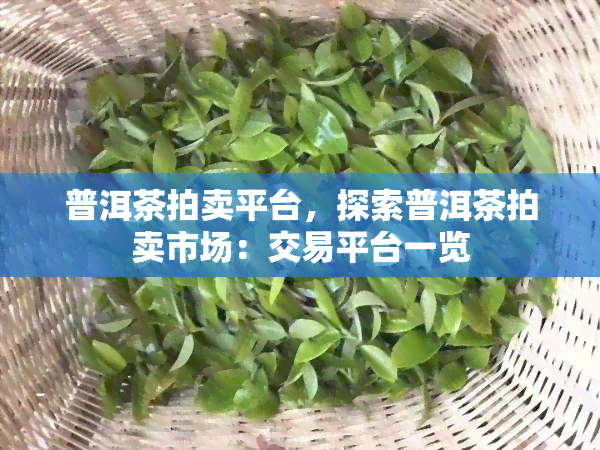 普洱茶拍卖平台，探索普洱茶拍卖市场：交易平台一览