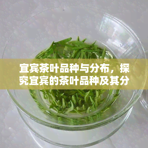 宜宾茶叶品种与分布，探究宜宾的茶叶品种及其分布情况