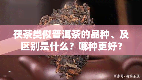 茯茶类似普洱茶的品种、及区别是什么？哪种更好？