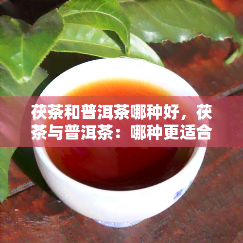 茯茶和普洱茶哪种好，茯茶与普洱茶：哪种更适合你？