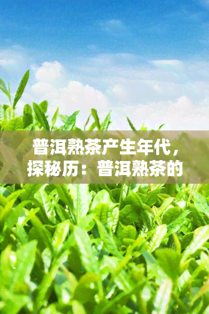 普洱熟茶产生年代，探秘历：普洱熟茶的起源与演变