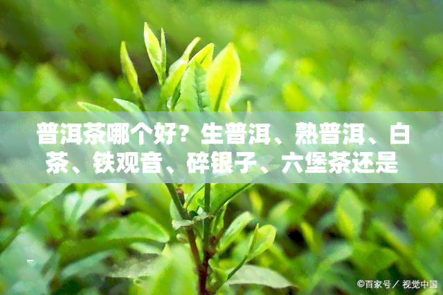 普洱茶哪个好？生普洱、熟普洱、白茶、铁观音、碎银子、六堡茶还是乌龙茶？