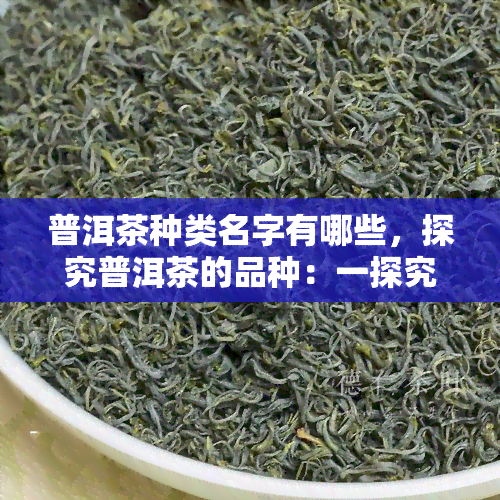 普洱茶种类名字有哪些，探究普洱茶的品种：一探究竟普洱茶种类名字有哪些