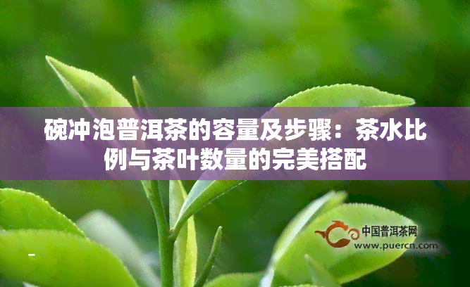 碗冲泡普洱茶的容量及步骤：茶水比例与茶叶数量的完美搭配