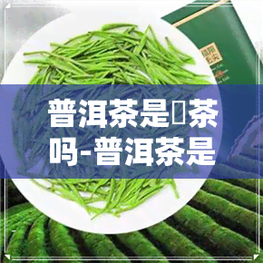 普洱茶是黒茶吗-普洱茶是黒茶吗?