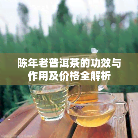 陈年老普洱茶的功效与作用及价格全解析