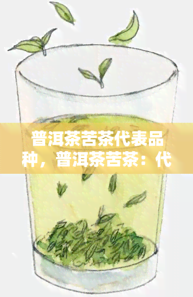 普洱茶苦茶代表品种，普洱茶苦茶：代表品种与特点分析