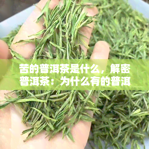 苦的普洱茶是什么，解密普洱茶：为什么有的普洱茶会苦？