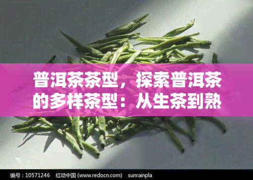 普洱茶茶型，探索普洱茶的多样茶型：从生茶到熟茶的全解析