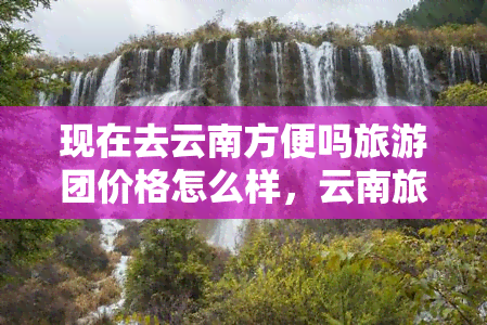 现在去云南方便吗旅游团价格怎么样，云南旅游团：现在前往方便吗？价格如何？