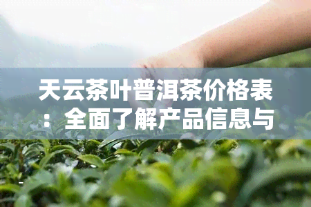 天云茶叶普洱茶价格表：全面了解产品信息与评价