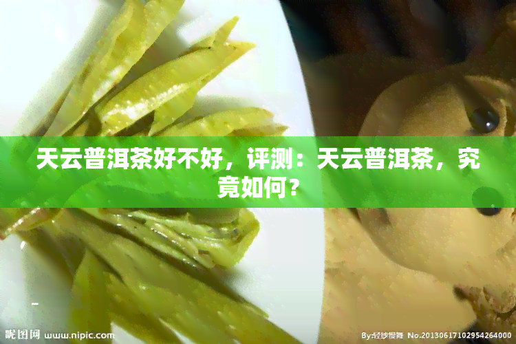 天云普洱茶好不好，评测：天云普洱茶，究竟如何？