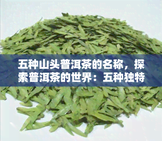 五种山头普洱茶的名称，探索普洱茶的世界：五种独特的山头普洱茶介绍