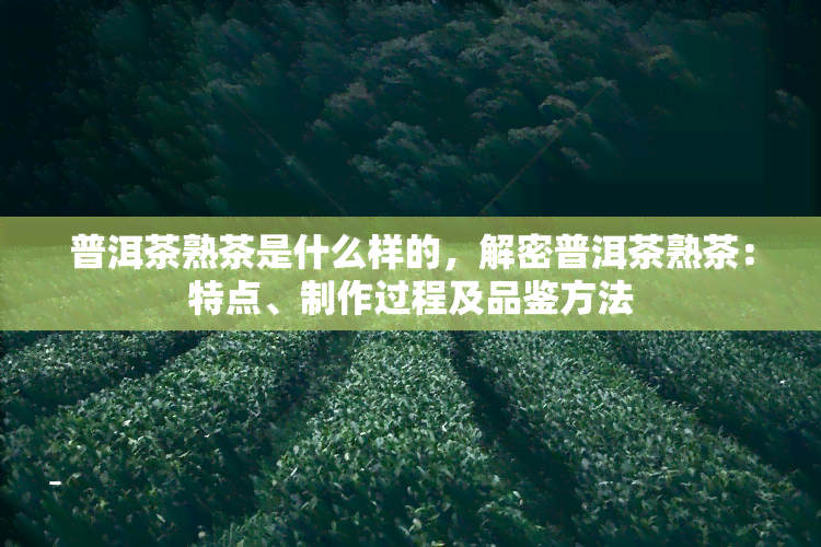 普洱茶熟茶是什么样的，解密普洱茶熟茶：特点、制作过程及品鉴方法