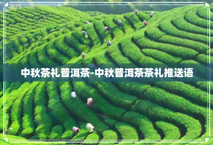 中秋茶礼普洱茶-中秋普洱茶茶礼推送语